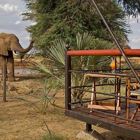 Ashnil Samburu Camp Hotel Luaran gambar