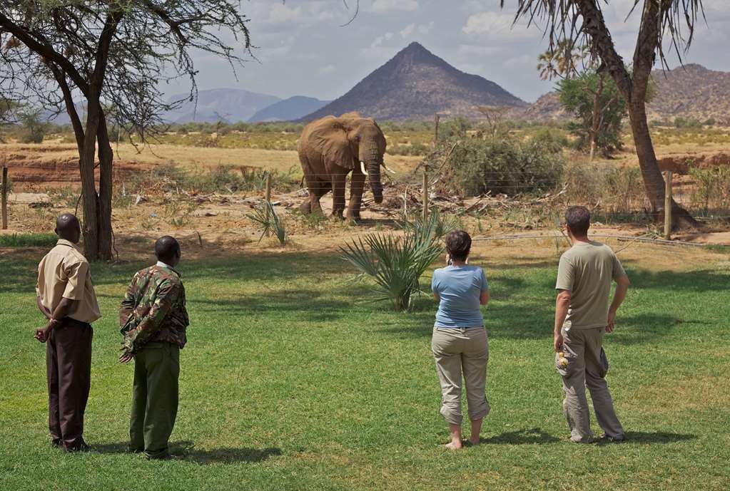 Ashnil Samburu Camp Hotel Luaran gambar