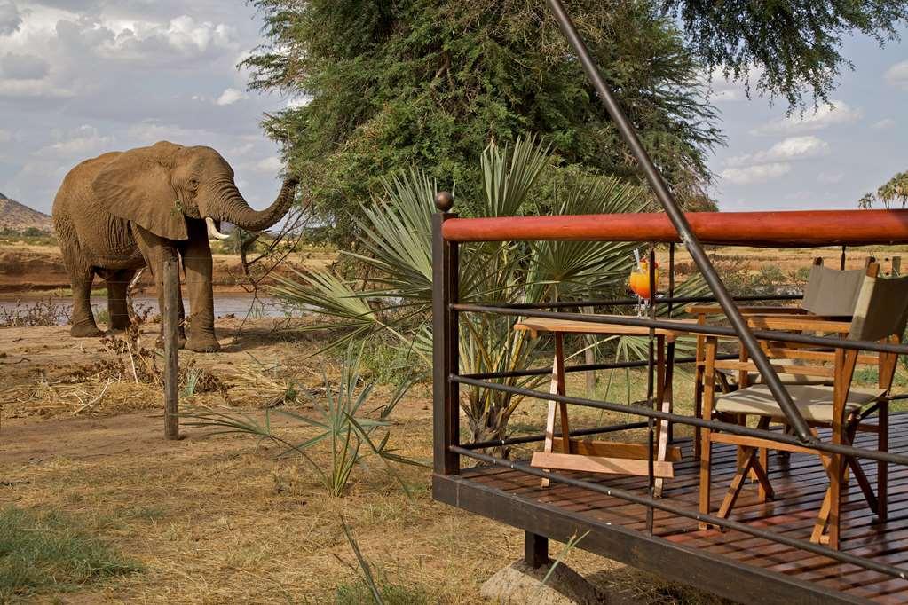 Ashnil Samburu Camp Hotel Luaran gambar