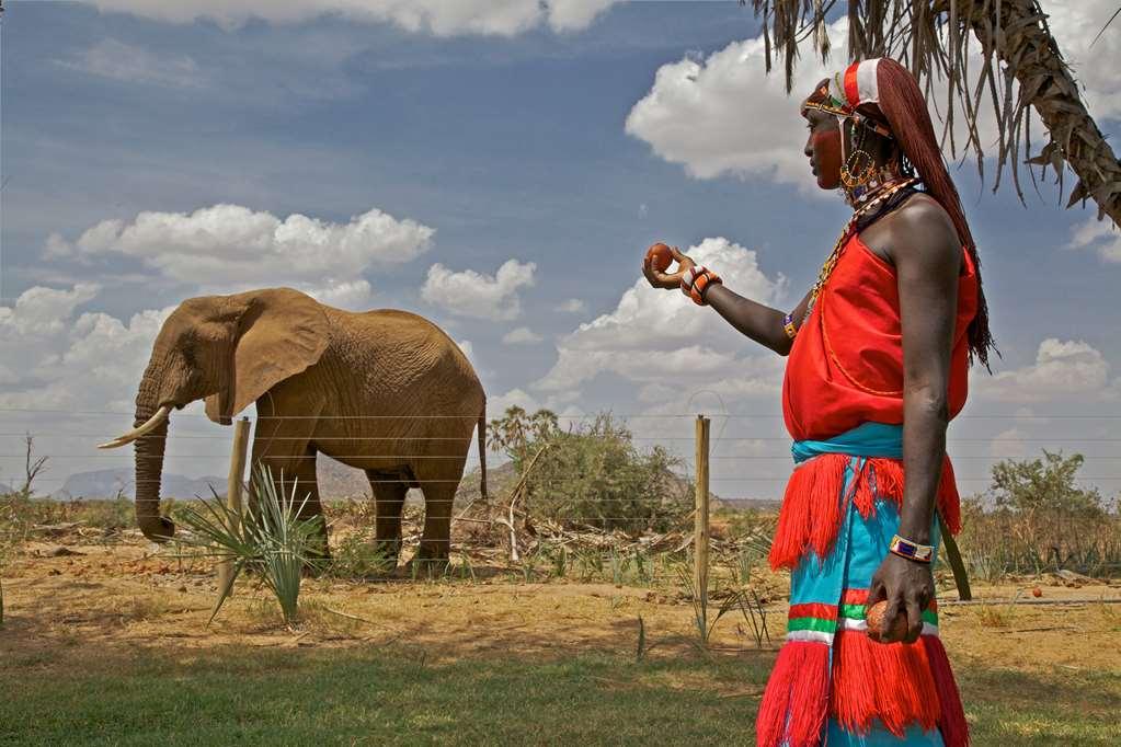 Ashnil Samburu Camp Hotel Kemudahan gambar