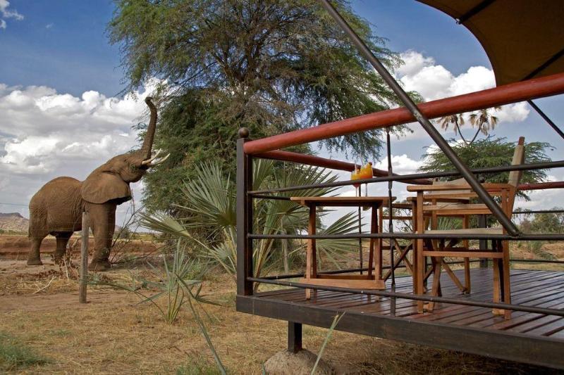 Ashnil Samburu Camp Hotel Luaran gambar