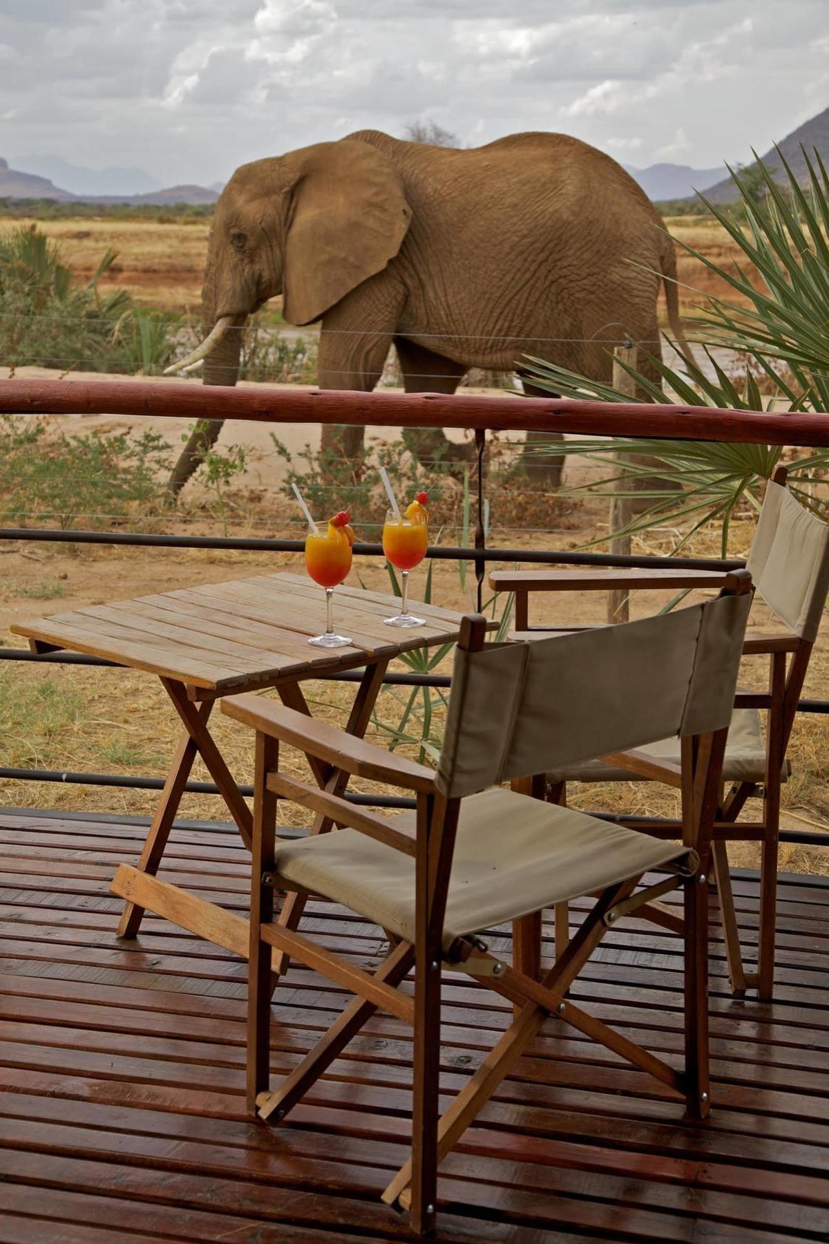 Ashnil Samburu Camp Hotel Luaran gambar